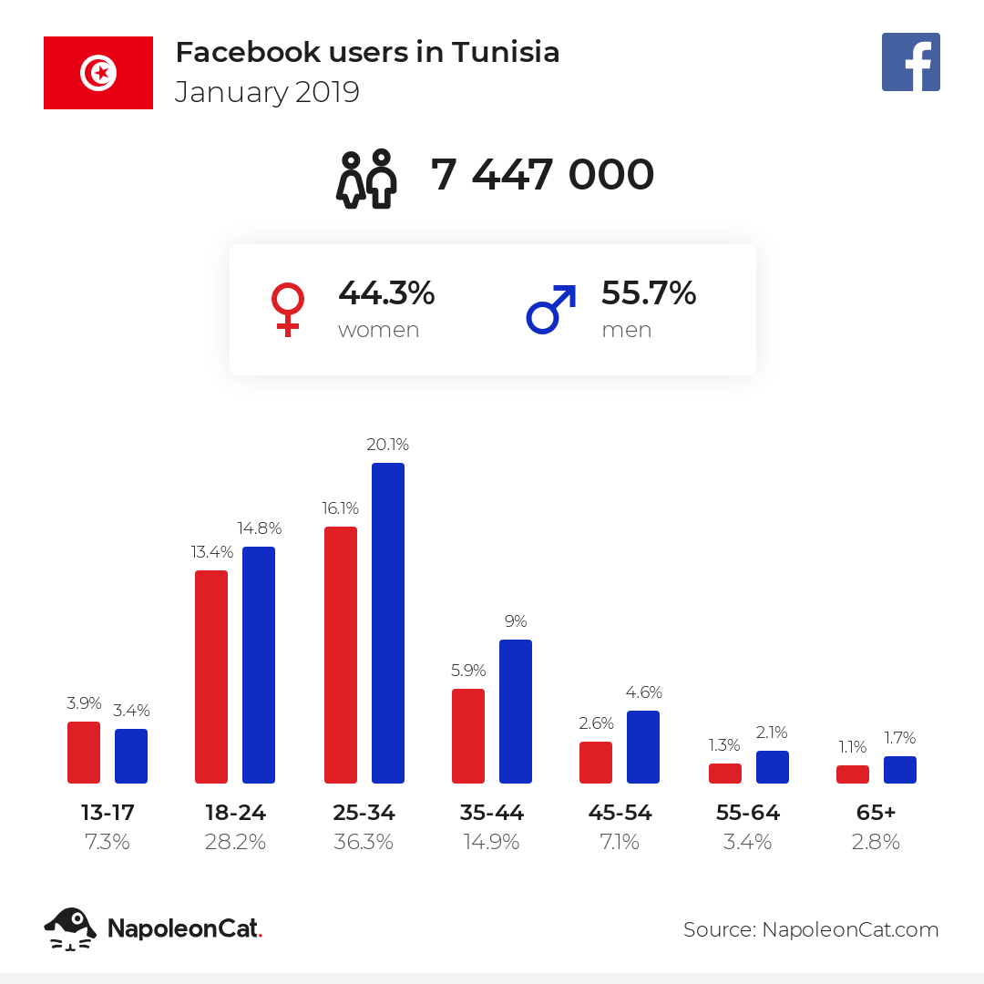 Facebook users in Tunisia