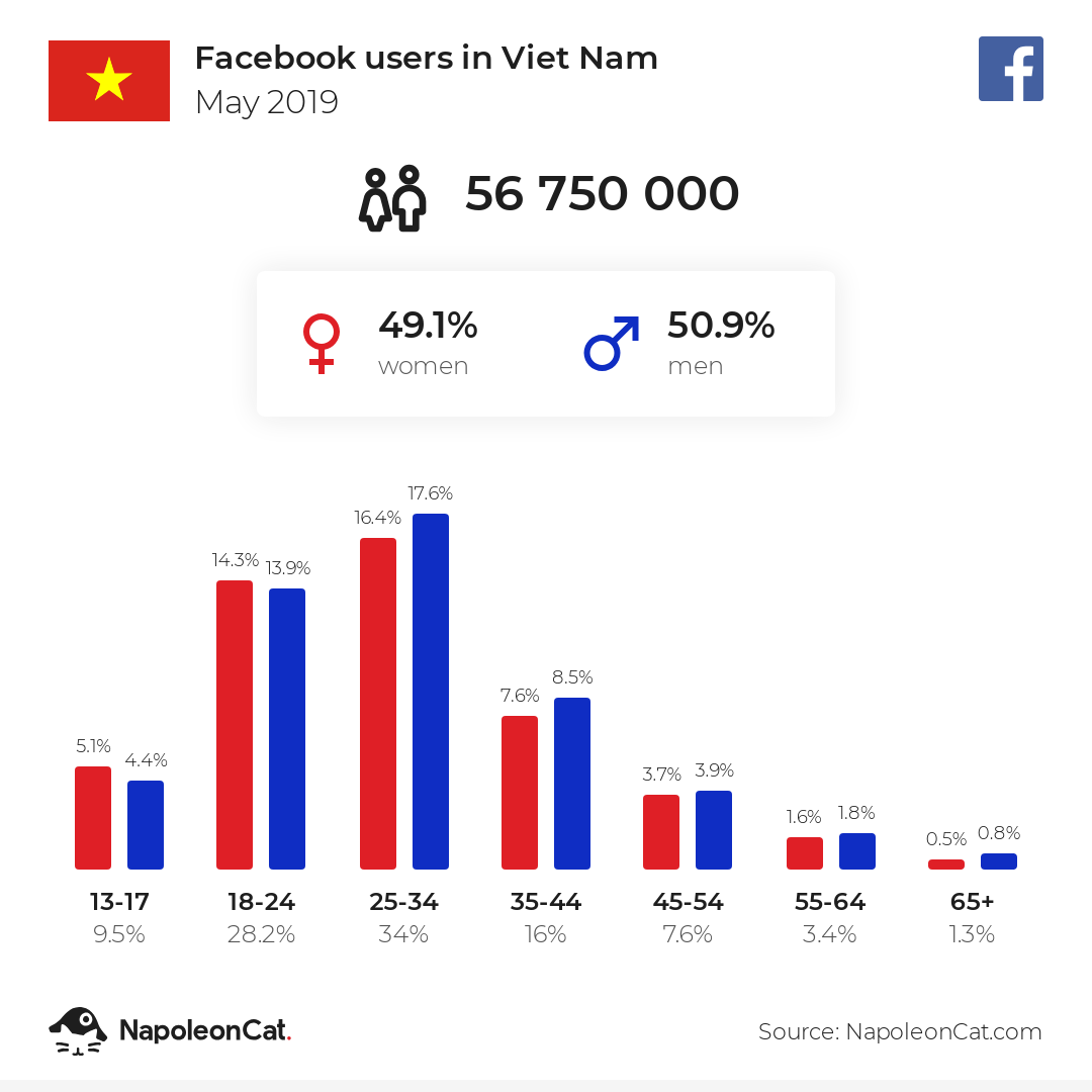 Facebook users in Viet Nam