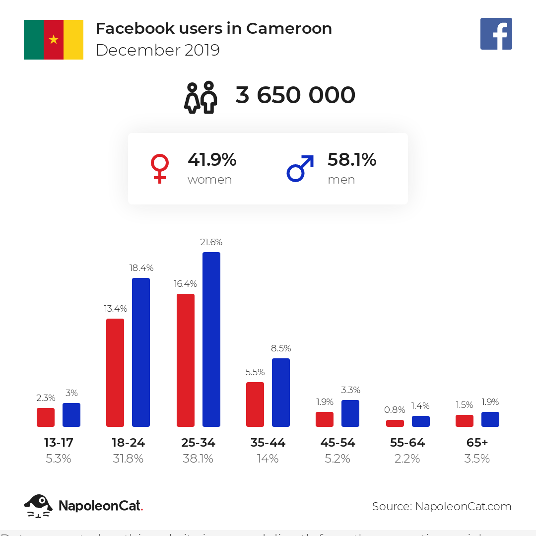 Facebook users in Cameroon