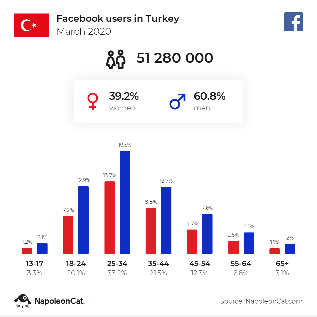 Facebook users in Turkey