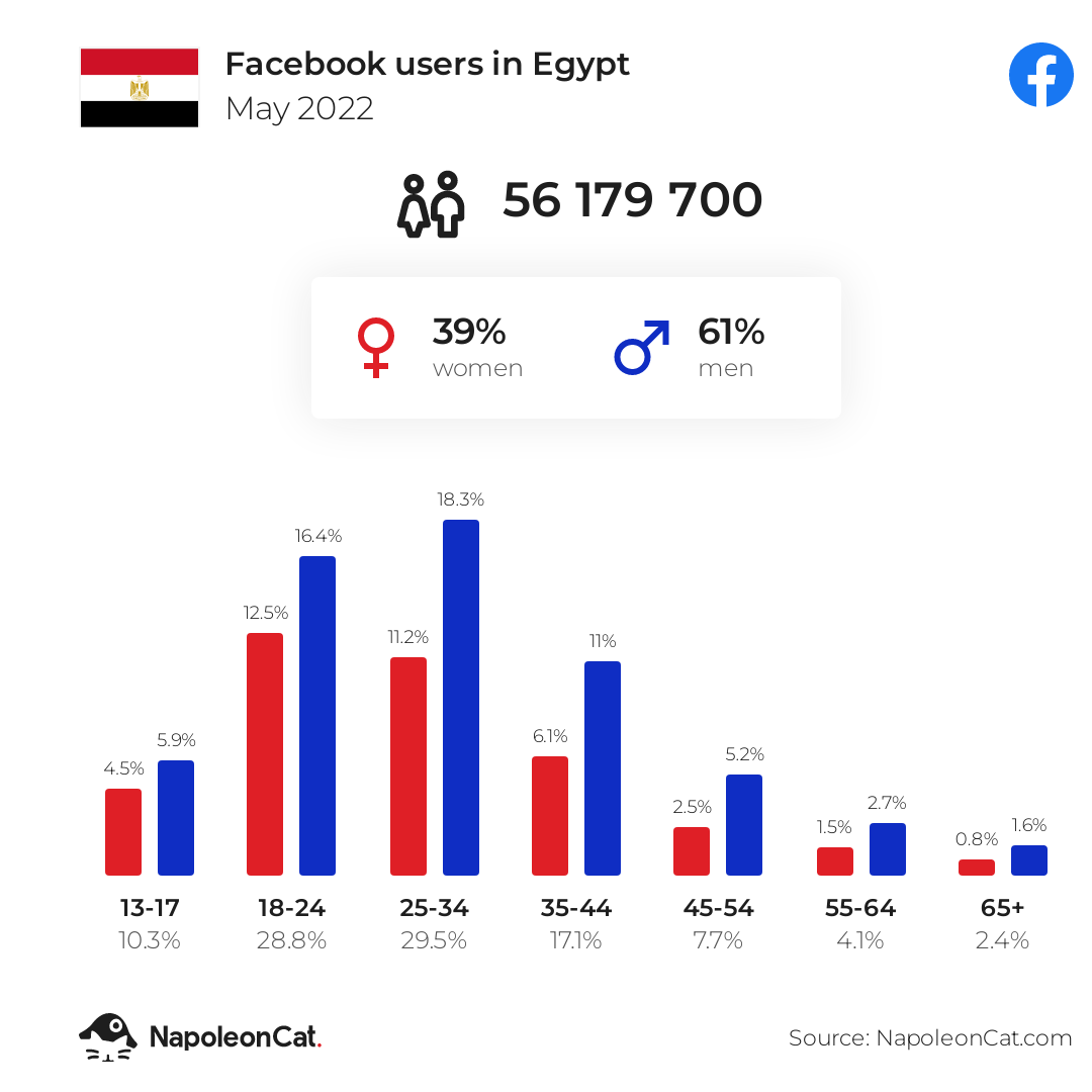 Facebook users in Egypt