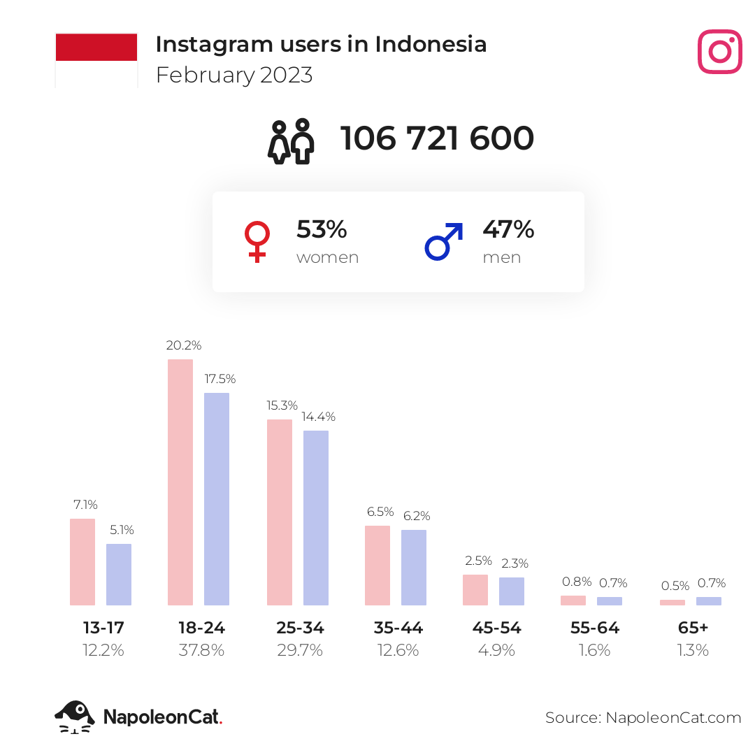 Instagram users in Indonesia